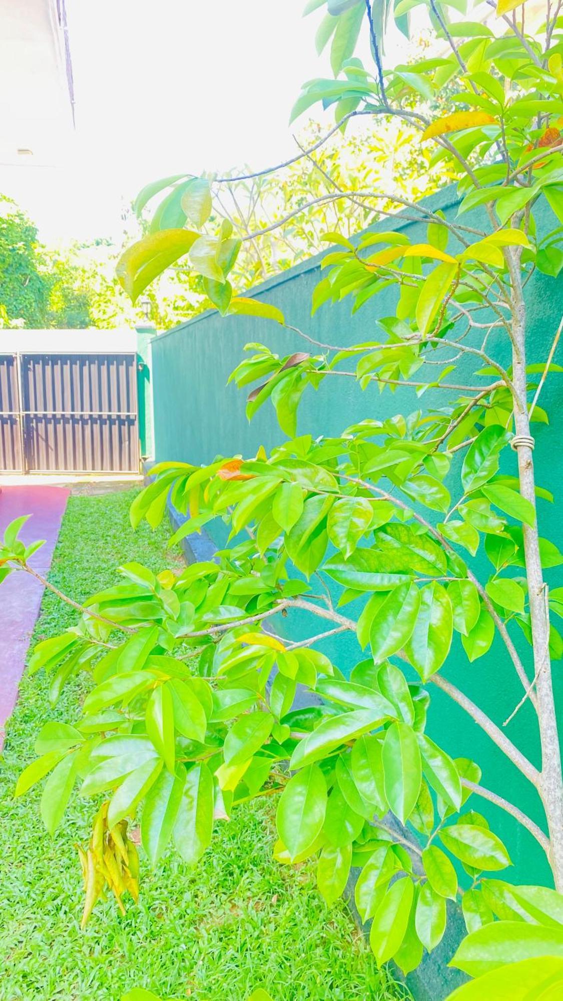 Sanasuma Villa Bentota Exteriör bild